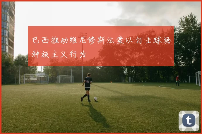 巴西推动维尼修斯法案以打击球场种族主义行为