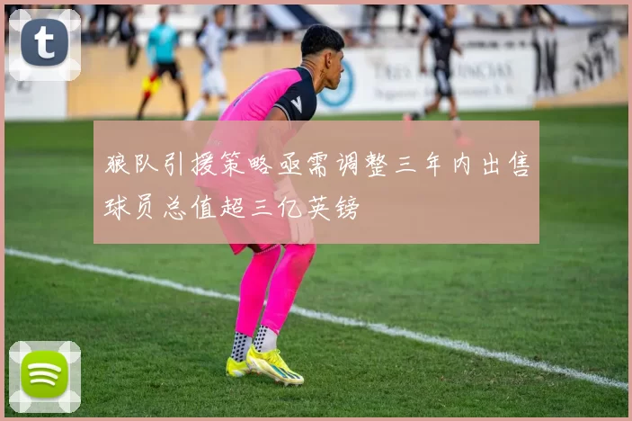 狼队引援策略亟需调整三年内出售球员总值超三亿英镑